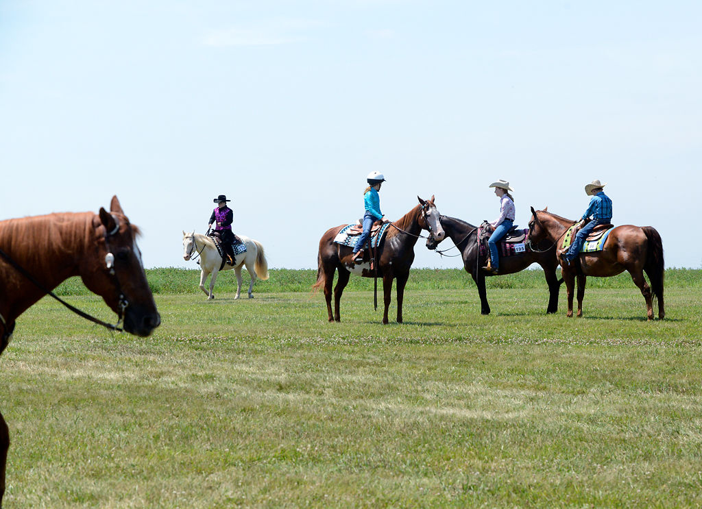 Riders hang out in a back field between competitions at the Boone County horse show